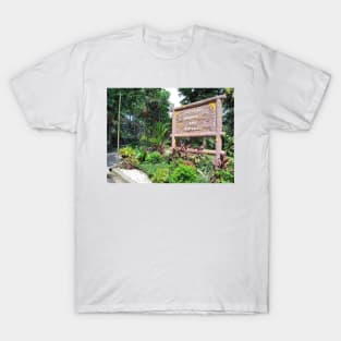 alligators and crocodiles, carlson imagery, carlson, carlsonimagery4u, nature, wildlife, watercolor, alligator, crocodile, crocodilian, brown, gray, estes, park, colorado T-Shirt